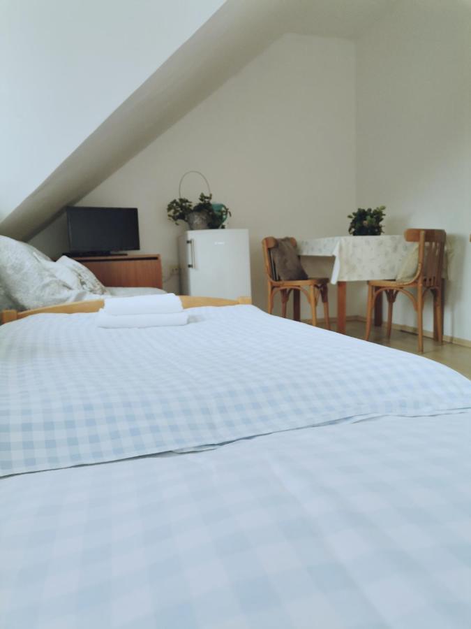 Penzion Pod Kostelickem Třebíč Extérieur photo