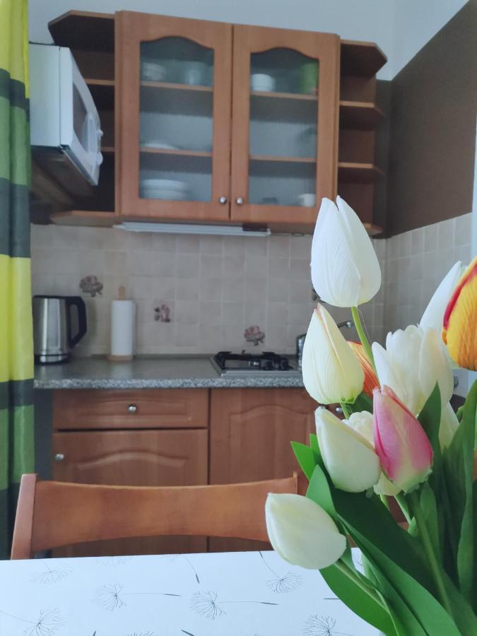 Penzion Pod Kostelickem Třebíč Extérieur photo